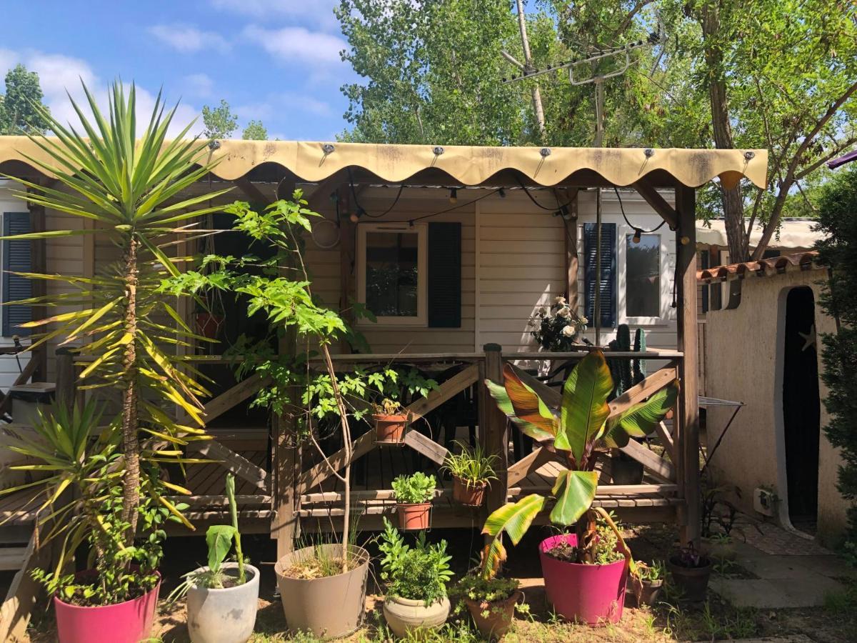 Mobil Home Climatise Camping 4* Le Grau Du Roi Les Jardins De Tivoli Extérieur photo